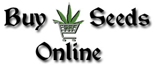 buy seeds online
